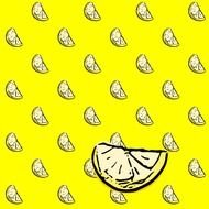 Lemon Fruit Scrapbooking Paper And Embellishment &ndash; Zitrone