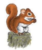 Squirrel Eating Nut On Stump, artwork