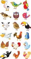 set of colorful cartoon birds