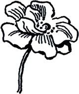 big flower as a black and white picture for clipart