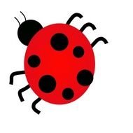 Back &amp;gt Gallery For Squashed Bug