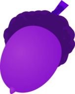 Acorn Vector