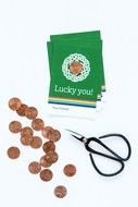 Penny, green cards and scissors