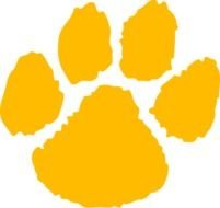 yellow animal footprint on white background