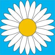 white camomile on a blue background