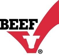 Beef Steer Sing drawing