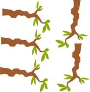 Clip Art Tree Branches Black And White Olive Branch clipart