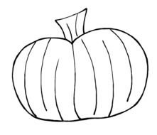 Pumpkins pencil drawing