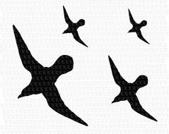 Birds &ndash; Ducks Hummingbirds Roosters And Chickens Owls Vultures