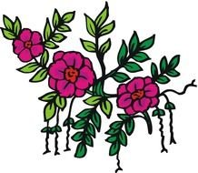 Me Not Flower drawing