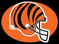 Cincinnati Bengals Graphics orange drawing