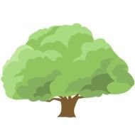 green tree on a white background