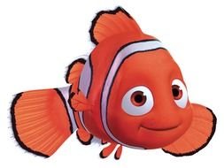 red clown fish on a white background