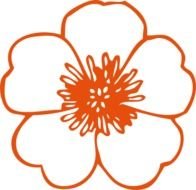 Peach Buttercup At Clkercom Vector Online