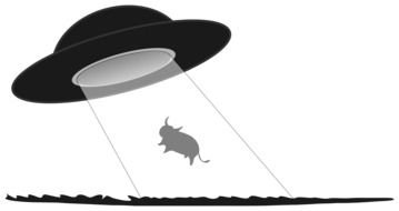 Cow Abduction drawing