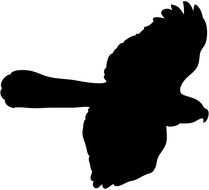 Soaring Hawk, black silhouette