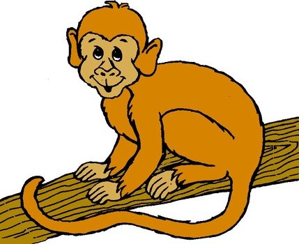orange Monkey drawing