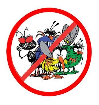 Pest Control Services In Davao City