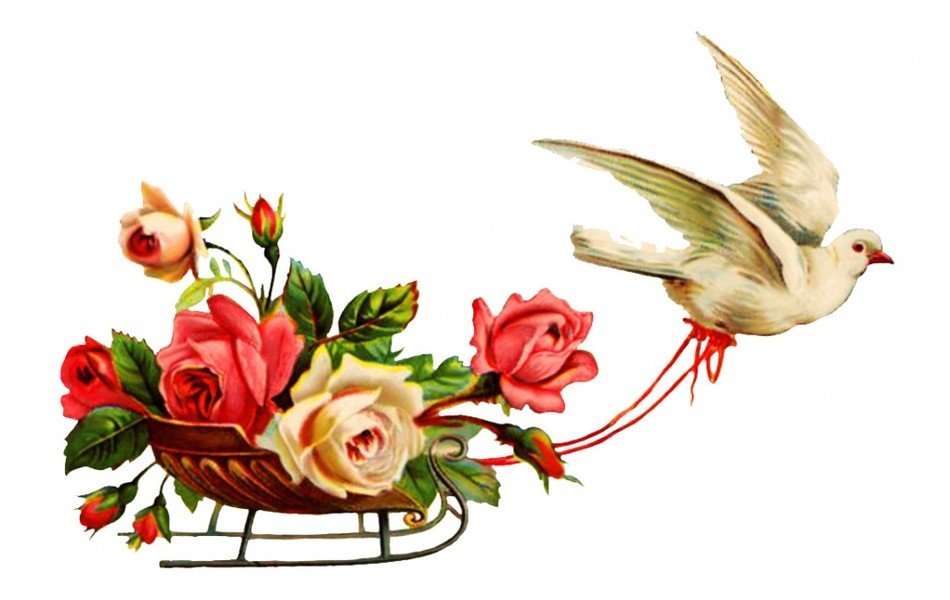 Bible And Flowers drawing