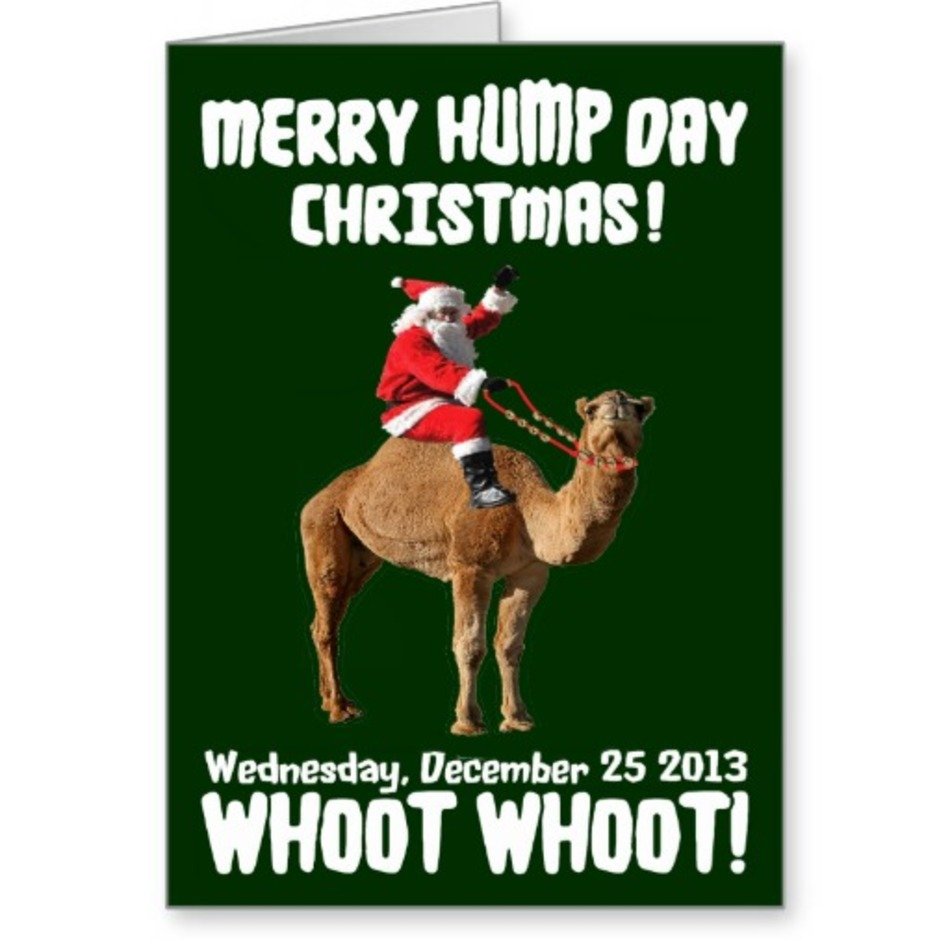Merry Hump Day Christmas 2013 Santa & Camel Greeting Card Zazzle