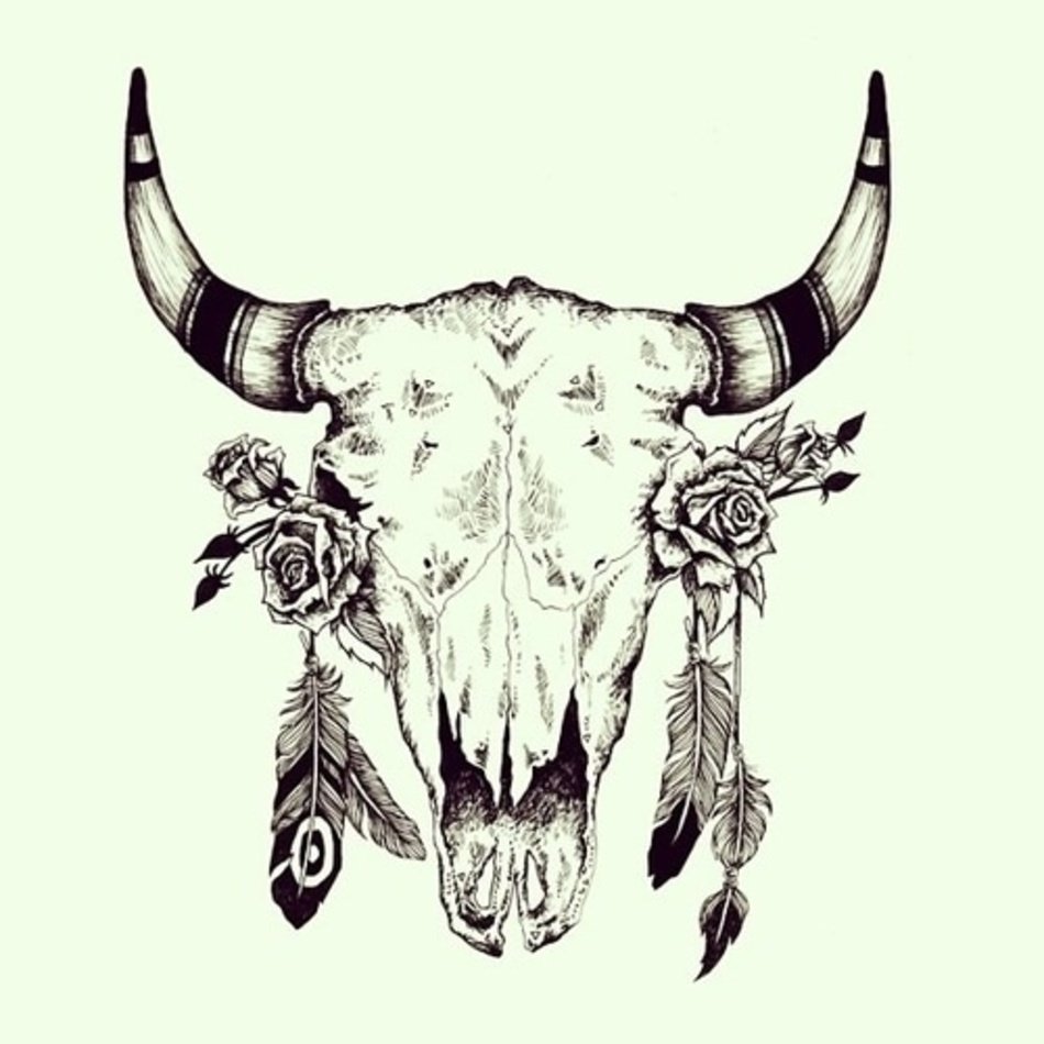 Cow Skull Tumblr Images â¡ Pinterest