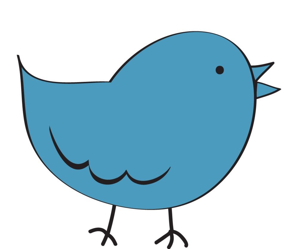 drawn blue bird tweeter on a white background