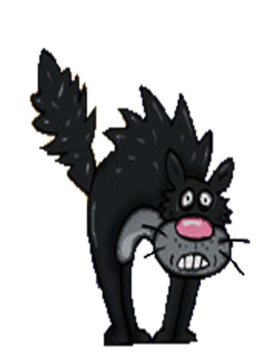 Scared Black Cat N4
