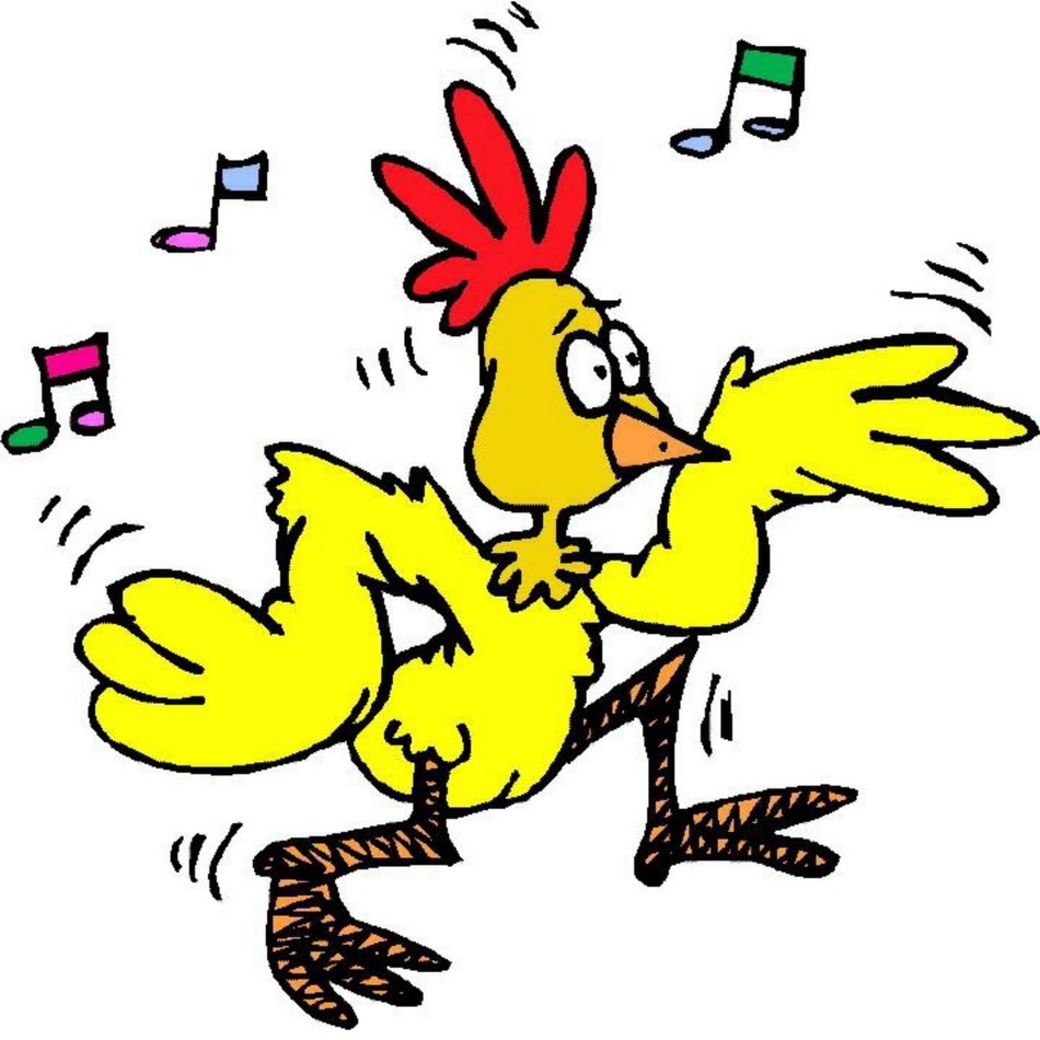 funny singing chicken as a picture for clipart