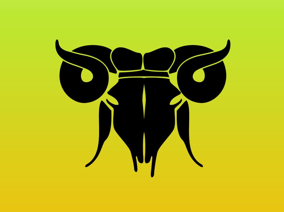 Ram skull drawing