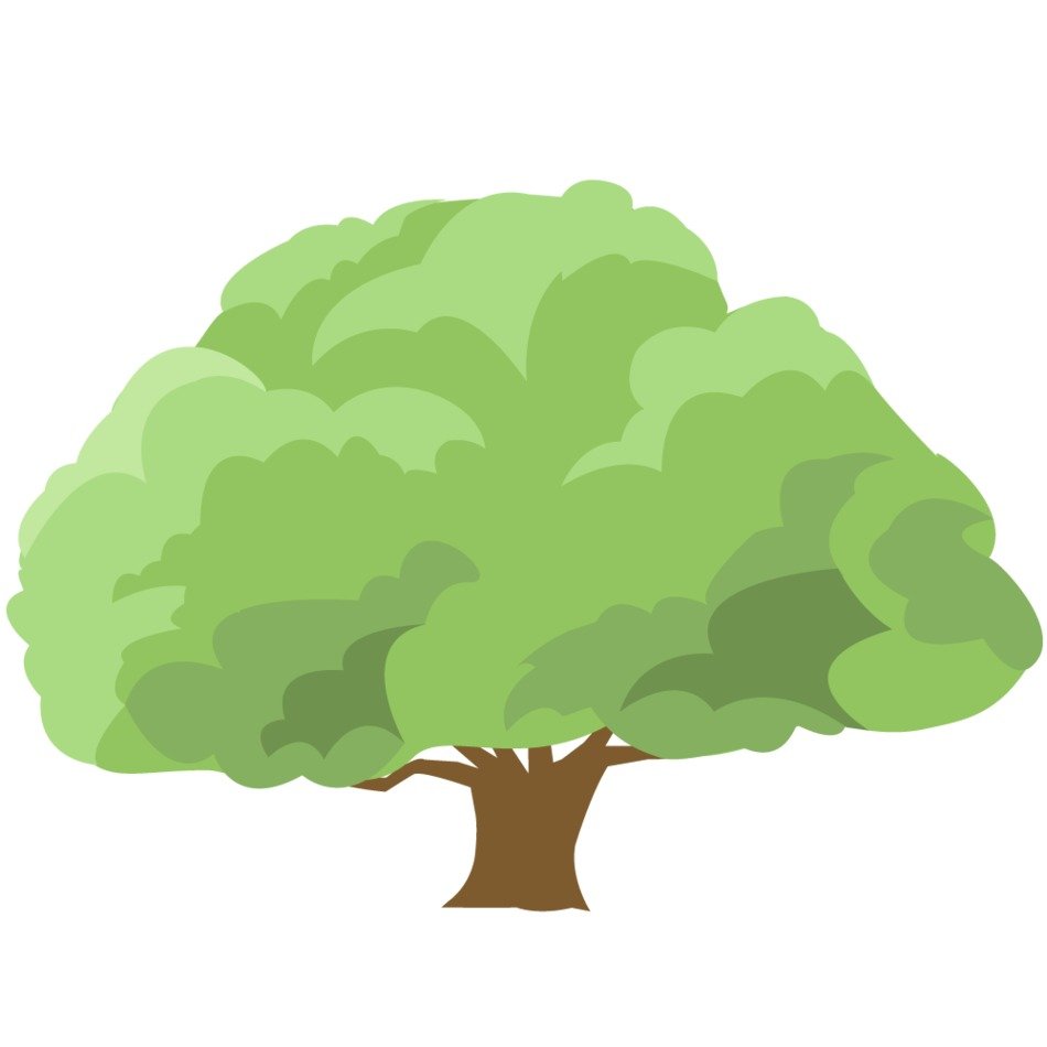 green tree on a white background