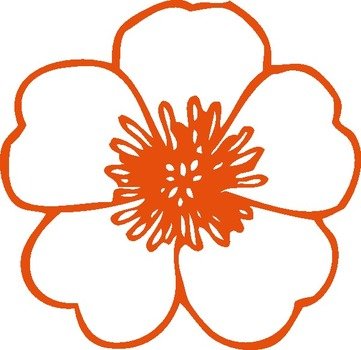 Peach Buttercup At Clkercom Vector Online