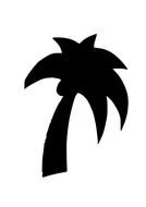 Trees Order By Palm drawing