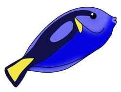 Colorful Fish Panda Free Images N2