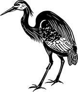 black heron drawing
