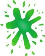 green lizun on a white background
