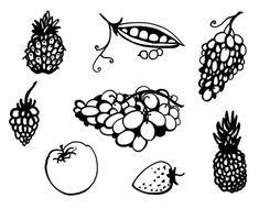 black and white drawings of fruits