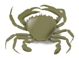 painted dark green crab