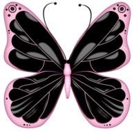 Black And Pink Transparent Butterfly