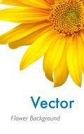 Vector flower background clipart