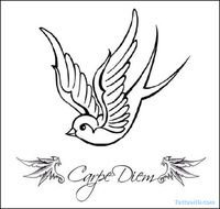 Sparrow Tattoo Designs Tattoos
