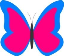 Bright Butterfly At Clkercom Vector Online N2