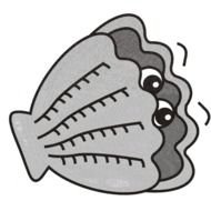 Urchin Panda Free Images