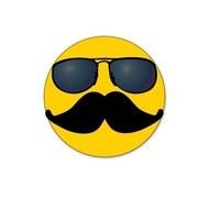 With Mustache And Sunglasses Panda Free Images N2