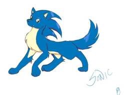 Sonic The Hedgehog As A Wolf By Cherished Flower