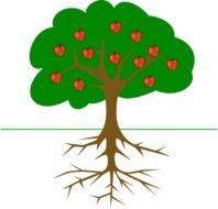 Bare Apple Tree Panda Free Images