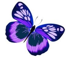 purple butterfly on a white background
