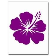 About Our Company &amp; People Blog With A Variety Of News Forum For N7