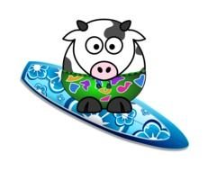 Kamc This Cow drawing