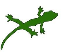 Gecko N9