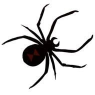 505 X &amp;183 16 Kb Jpeg Black Widow Logo